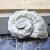 Belt buckle snail shell, Rustic silver