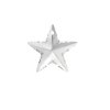 20 mm Star Pendant Swarovski Kristall